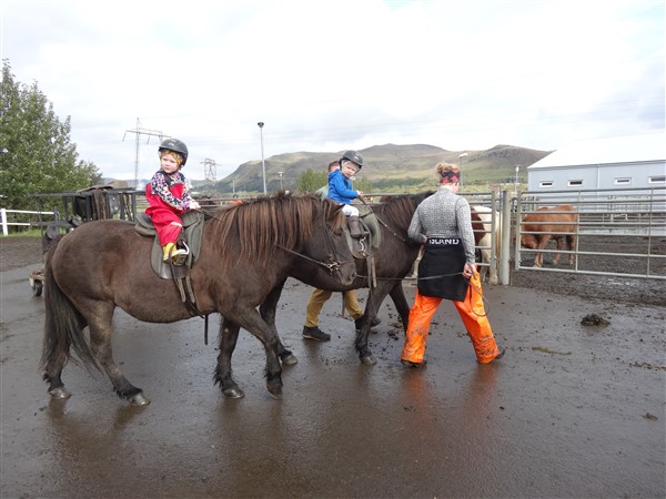 Paard rijden voor jong en oud op IJsland