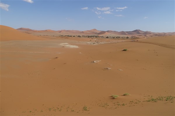 Dodevlei: where dunes walked over the river