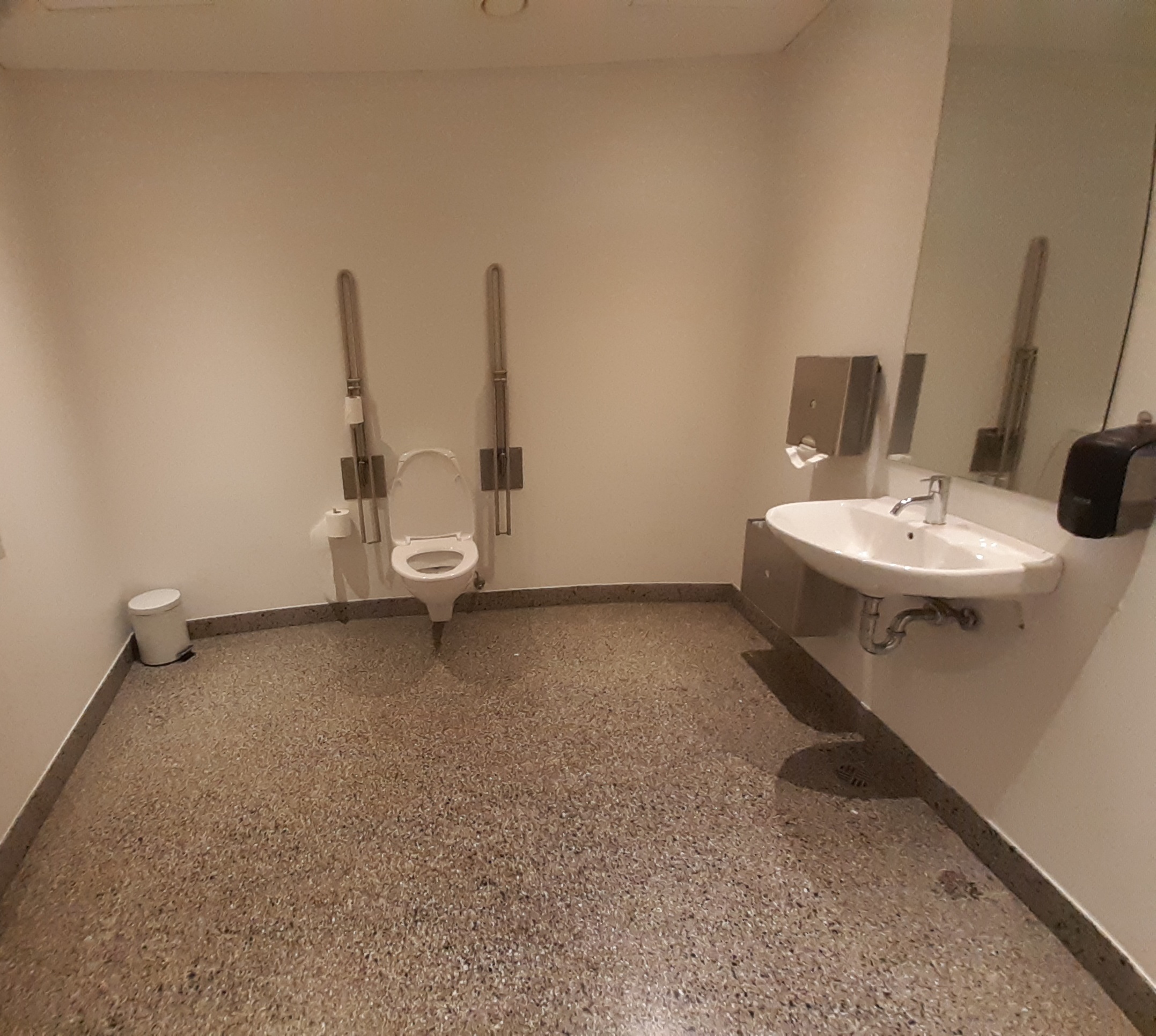 Een toilet voor rolstoelgebruikers met armsteunen en een wasbak waar je onder kunt met je rolstoel en met veel ruimte
