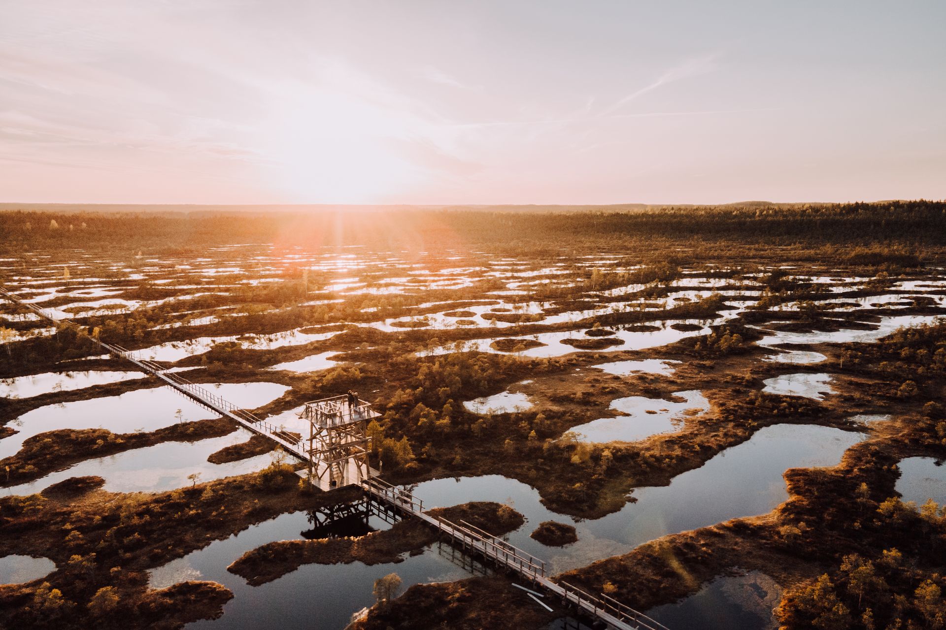 a bridge over water with trees and plants