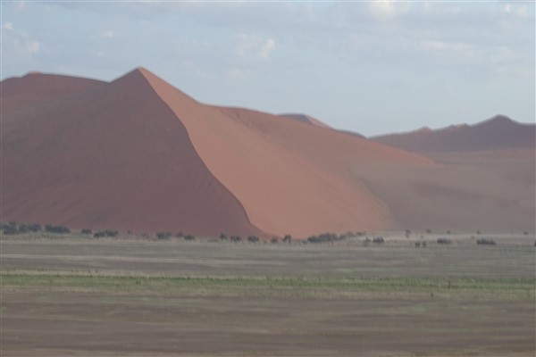 Duinen in Sossusvlei bij zonsopgang