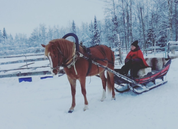 Finland Lapland Kemijarvi paardenslee Off Piste Adventures © Mia Lappalainen
