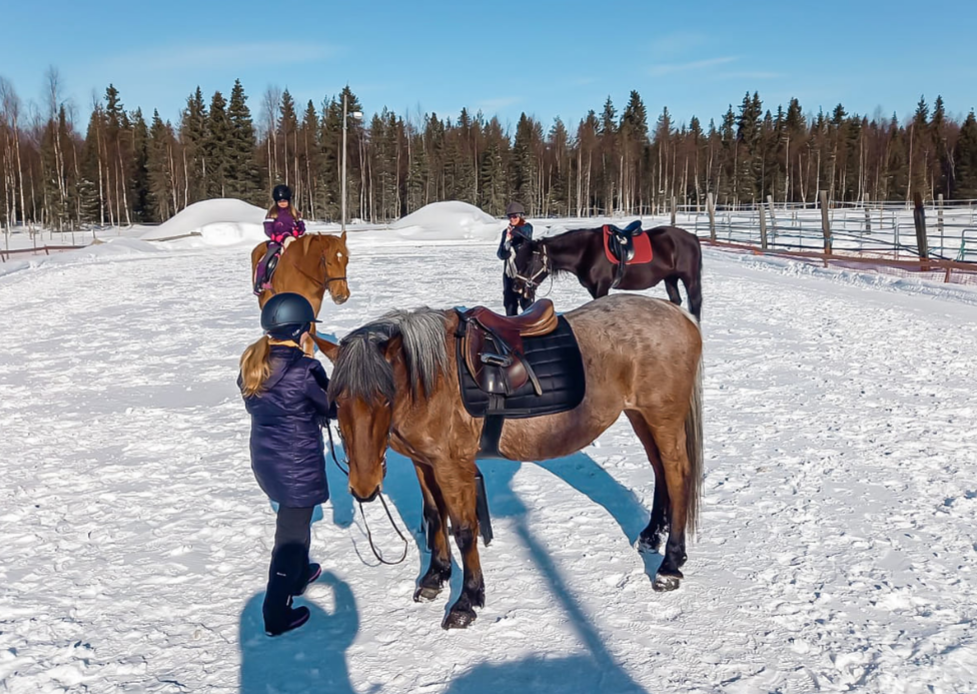 Finland Lapland Kemijarvi paardrijden Off Piste Adventures