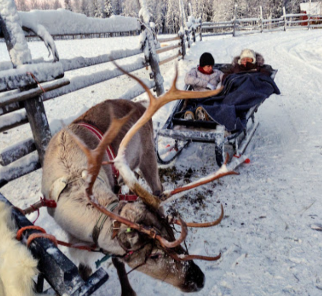 Finland Lapland Kemijarvi rendierslee Off Piste Adventures © Toganim Sarl