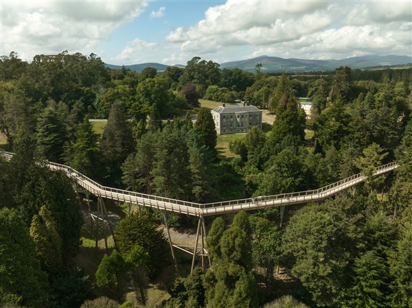 TreetopWalkViewingTower Avondale Wicklow courtesy for Bharte reizen 11