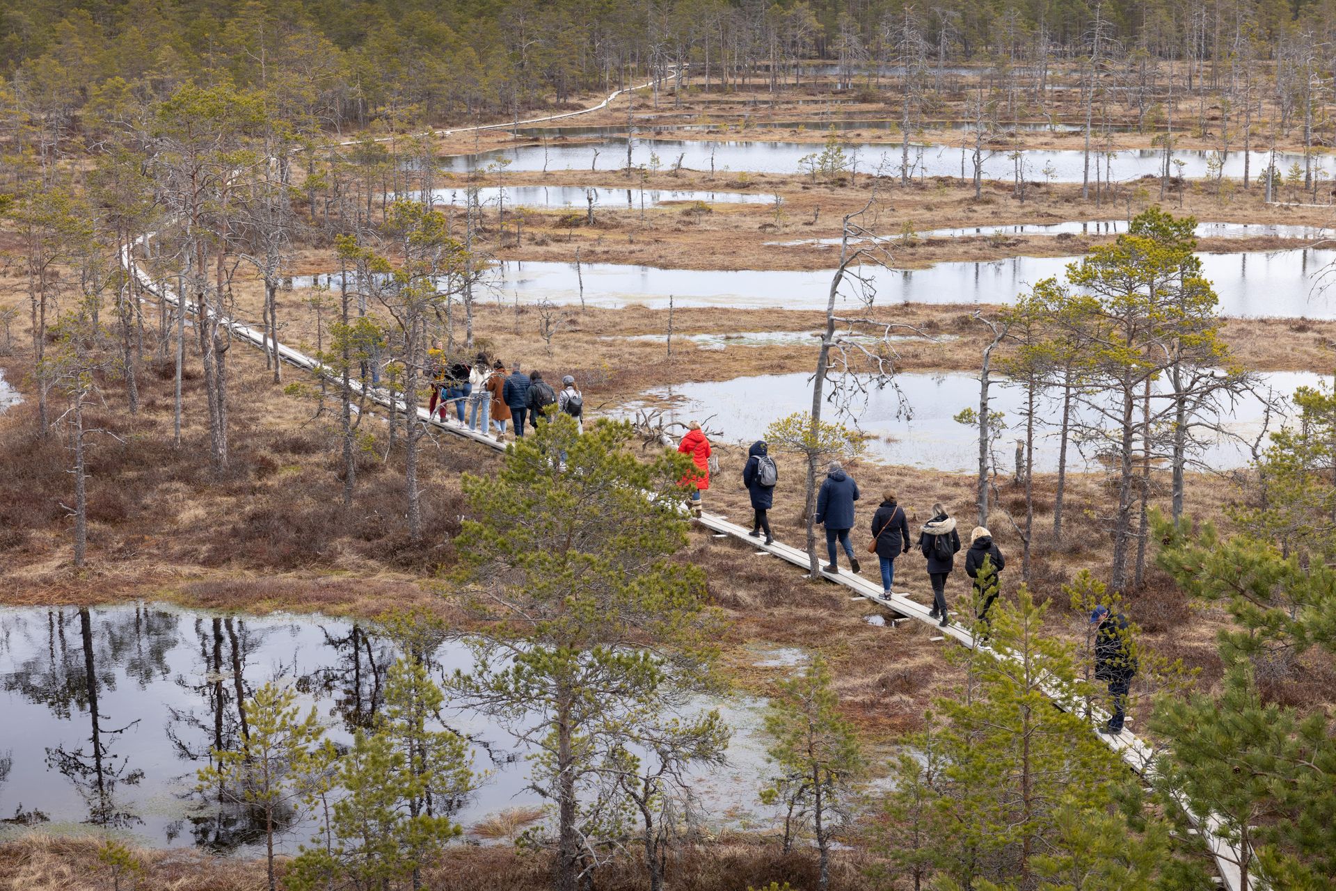 Estland Viru bog ©Toomas Juul Visit Estonia