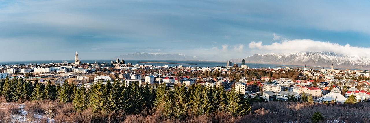 a city with trees and mountains in the background