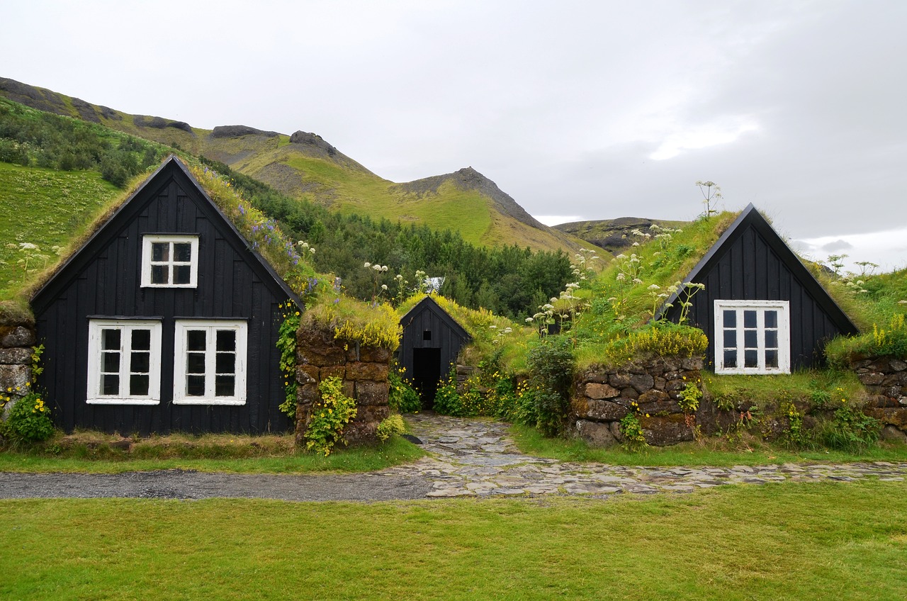 a two houses with grass on the roof