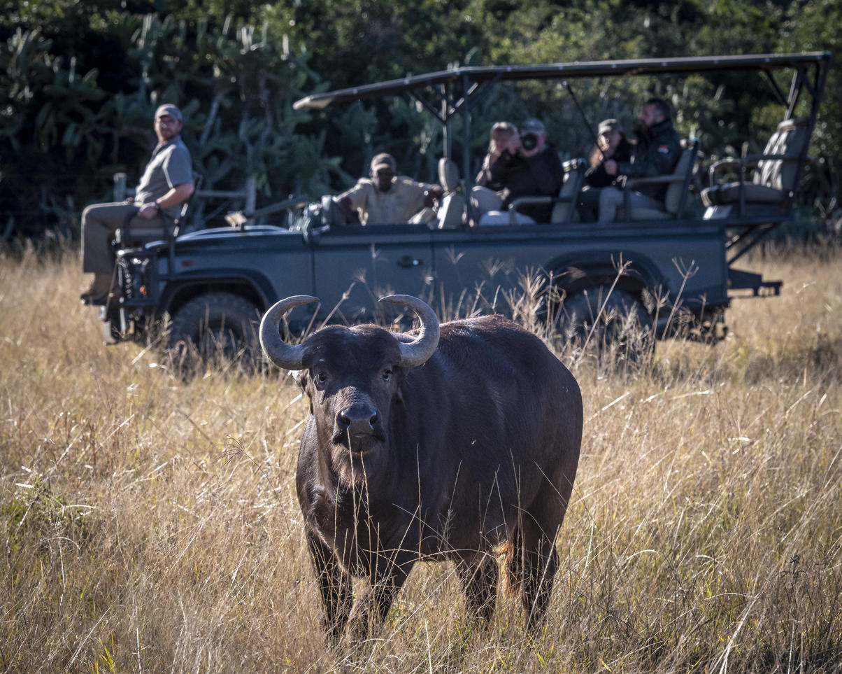 Zuid Afrika natuur Bellevue bosreservaat