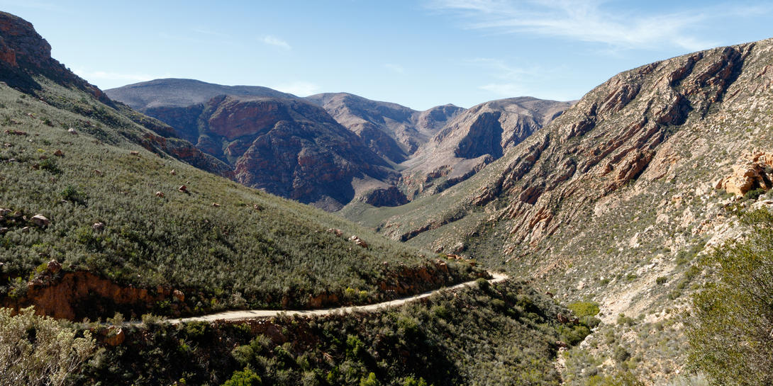Zuid Afrika oudtshoorn 5