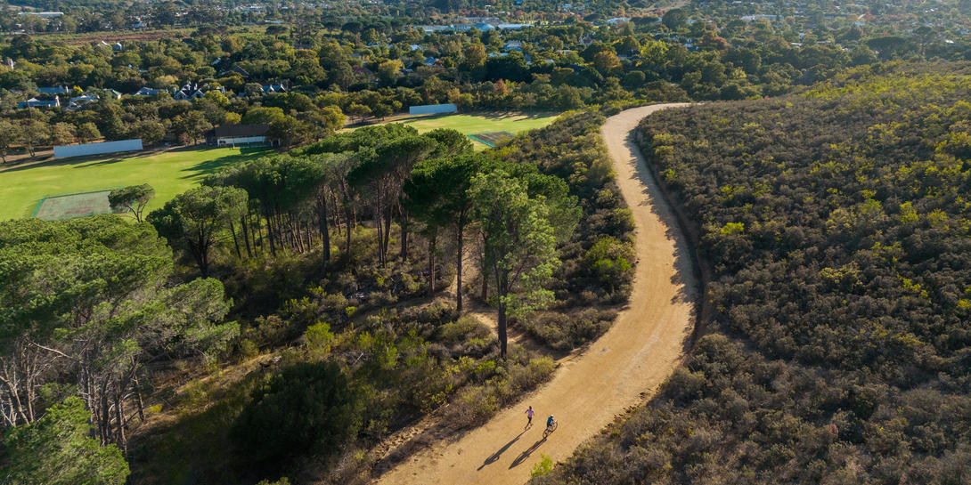Zuid Afrika stellenbosch istock 1395906937