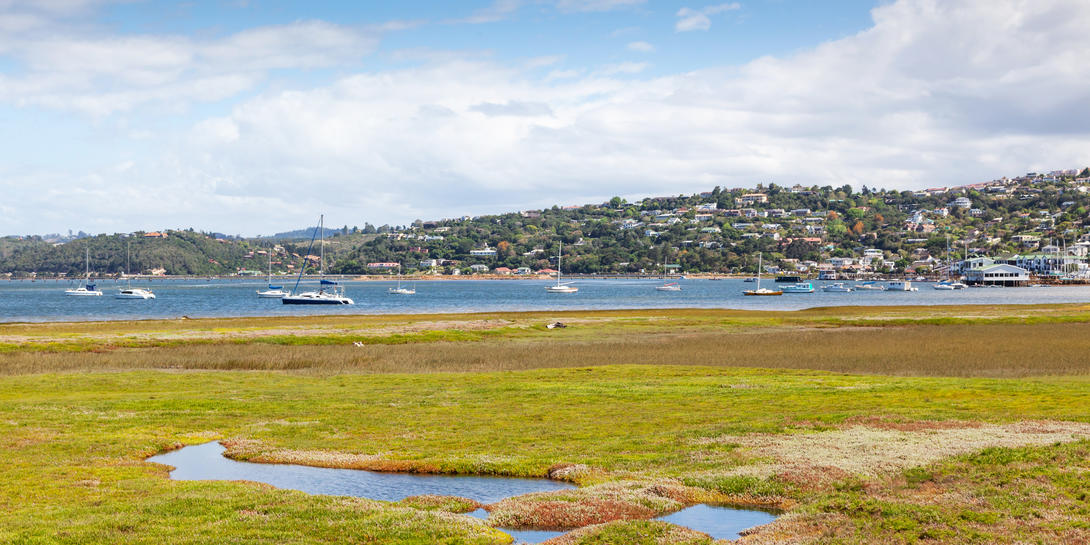 Zuid Afrika knysna istock 1355413933