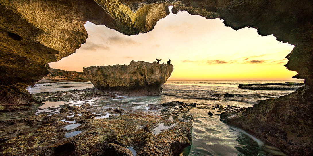 cape south coast gideon malherbe shutterstock 1321155482