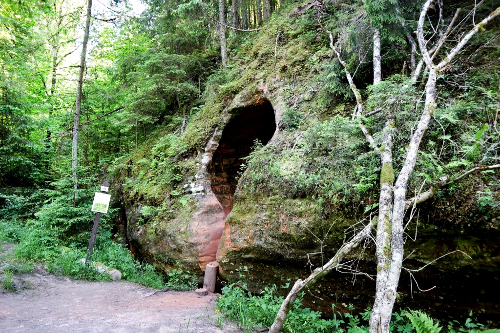 Een grot in de bossen
