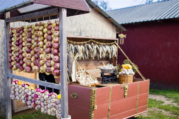 Estland cultuur uienroute