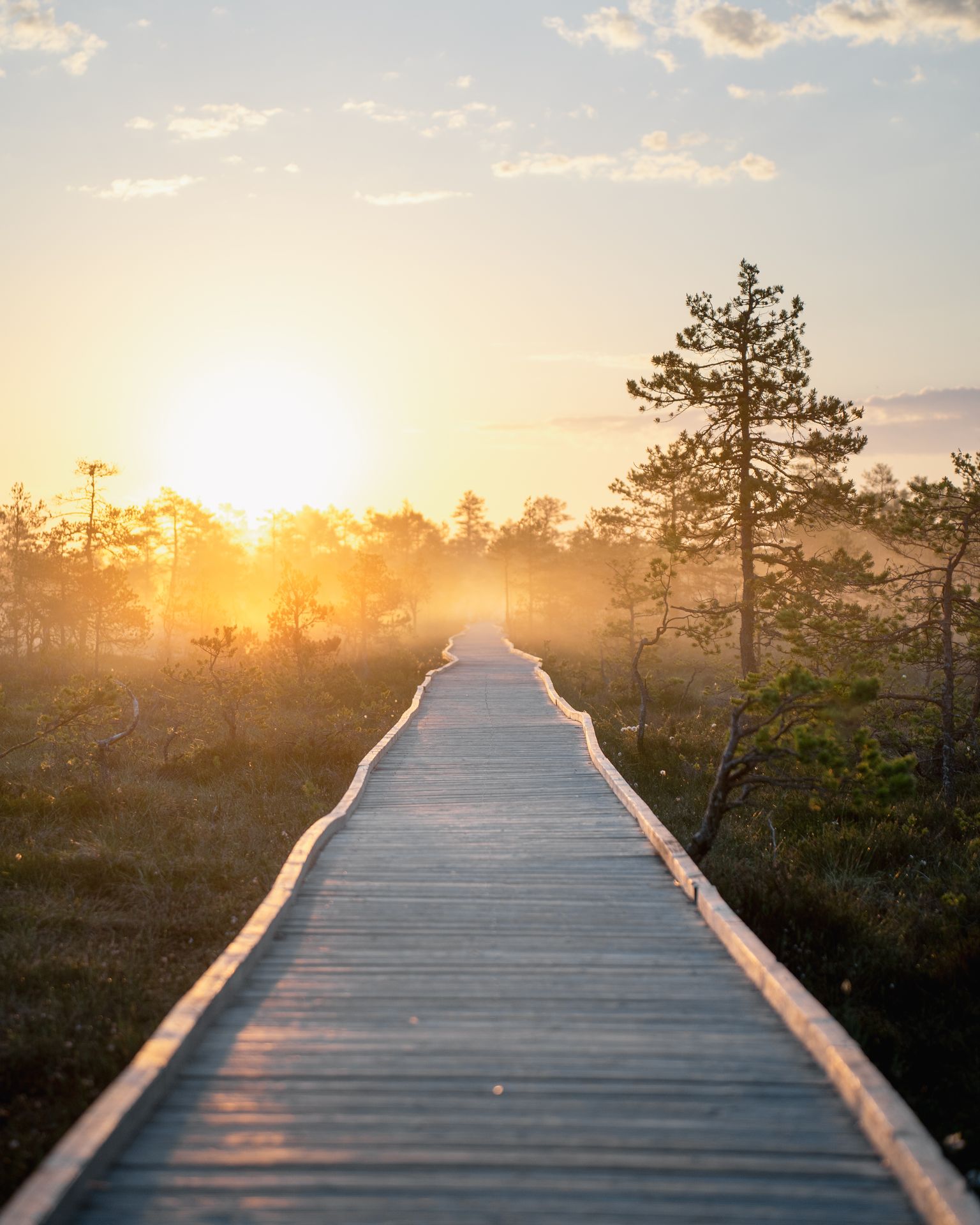Estland natuur Lahemaa