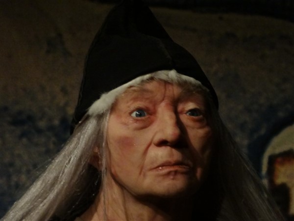 vrouwenhoofd van silicone in saga museum