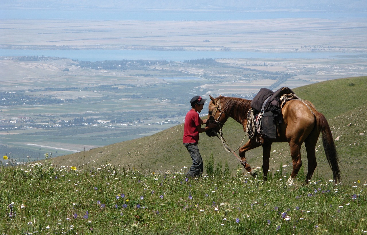 Kirgizië Karakol Paard