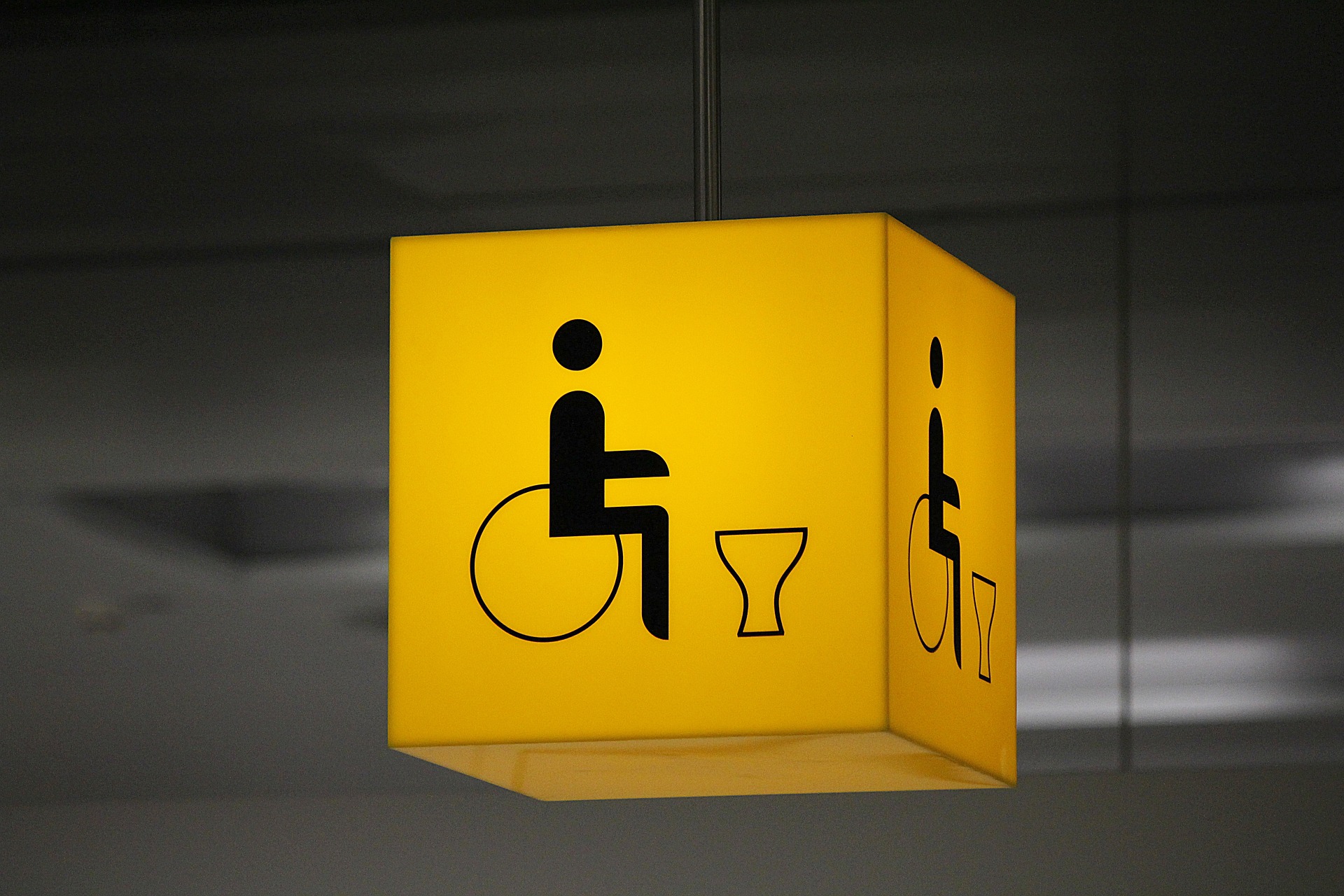 Pictogram van een rolstoelpersoon en een toilet